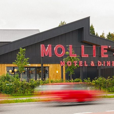 Mollie'S Motel & Diner Bristol Filton エクステリア 写真